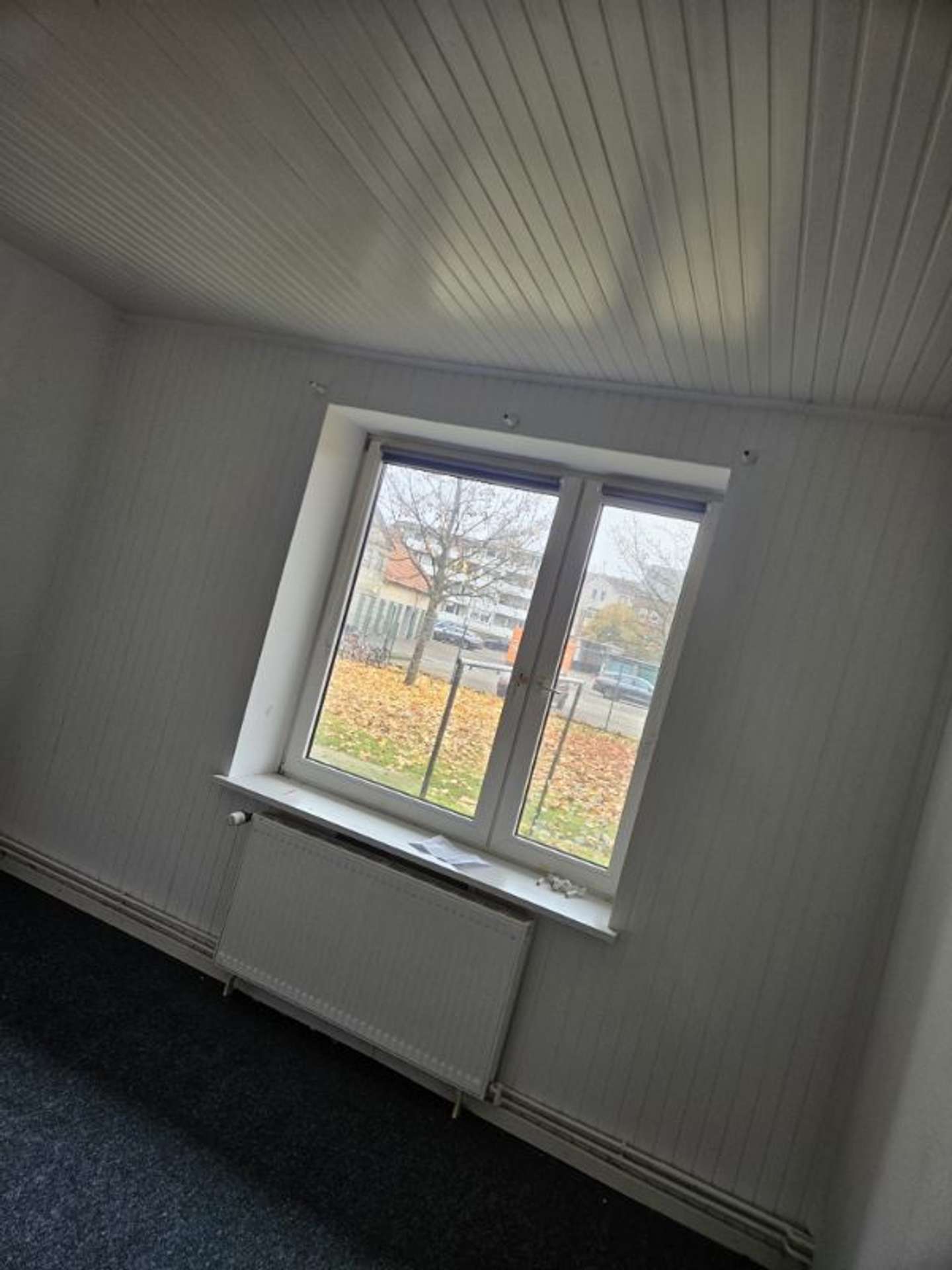 Charmante 2-Zimmer-Wohnung nach Renovierung – ab 15.02. bezugsfrei, Hansaring 46, 24534 Neumünster, Erdgeschosswohnung