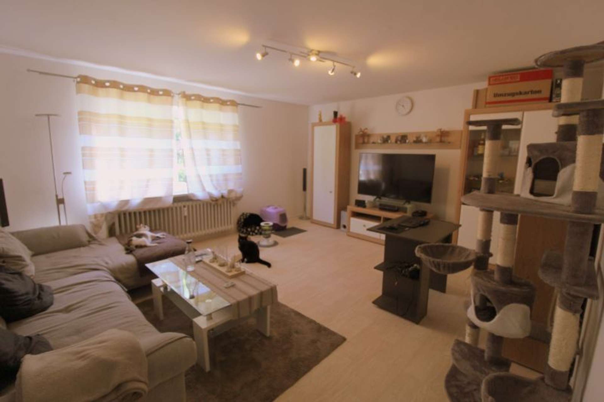 Nachmieter gesucht für schöne 3 Zimmer Wohnung, Diestelkamp 17, 24340 Eckernförde, Erdgeschosswohnung